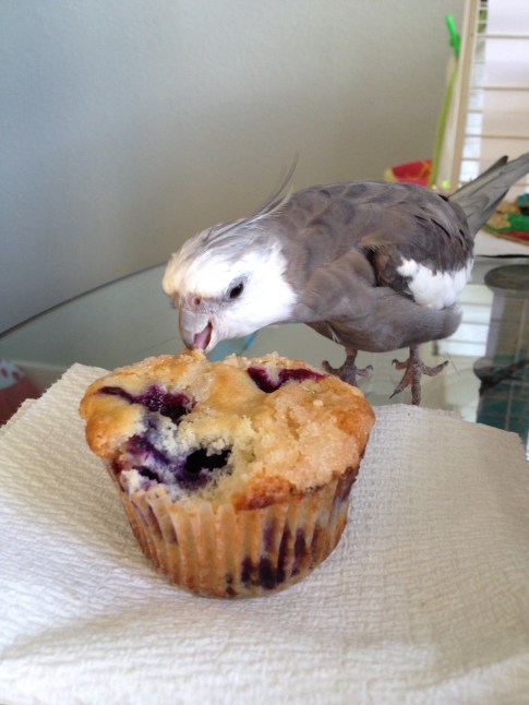 Hmmmm. It's quite crunchy and crumbly, but it sure doesn't taste like "waffle." 