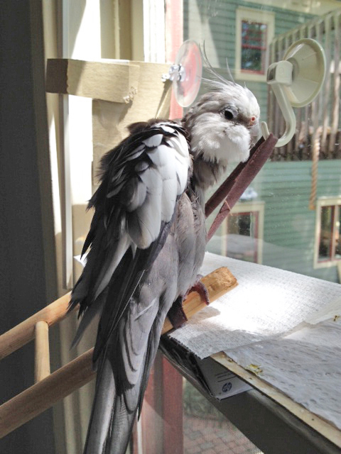 I can feel my fans' eyes on me (as usual).