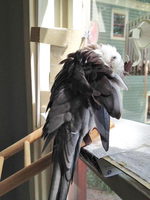 I can already hear the rustling as they scramble to find those rectangular flashing devices they carry everywhere.