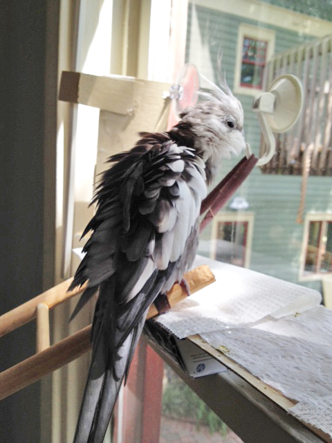 I'll just hold this pose an instant longer than usual so the fans can get a few more shots.