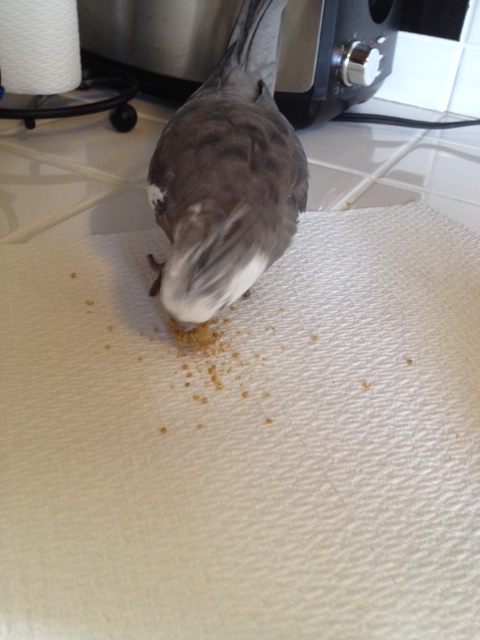 Mmhmmm good. Crunchy too.