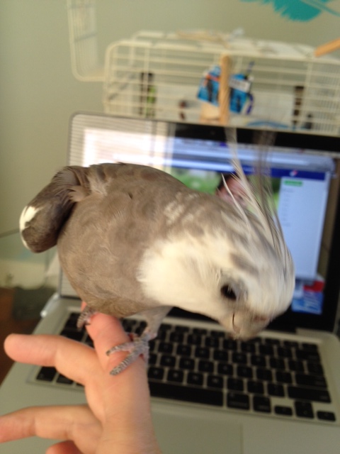 And still closer....