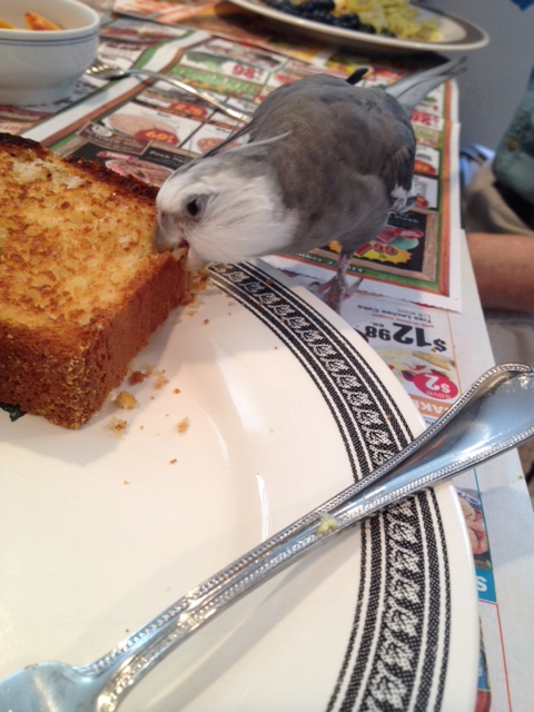 Well, I'll be! Both crunchy and crumbly - perfect for "excavation while dining."