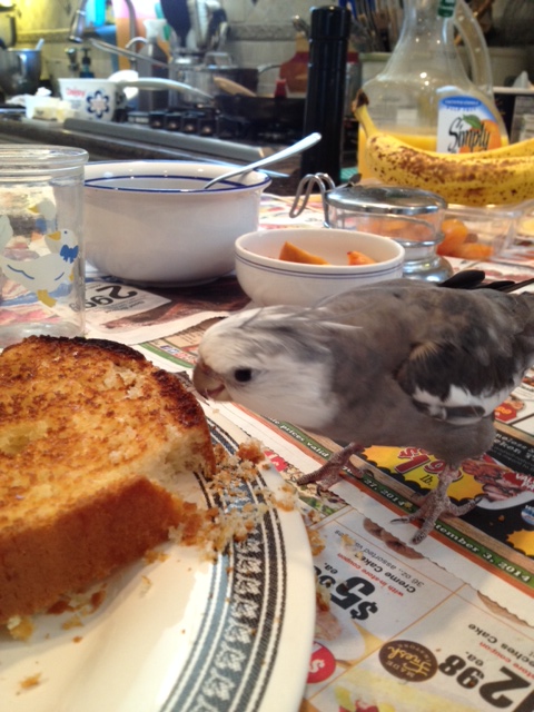 Well, this sure looks scrumptious.