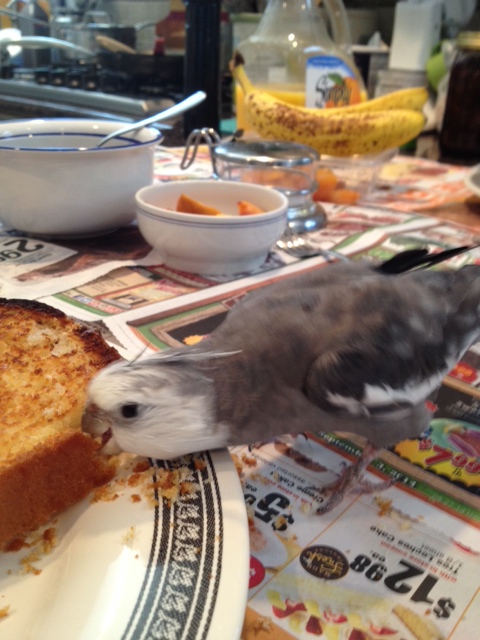 With such "excavatable" material (a technical term) this demonstration will be a breeze!