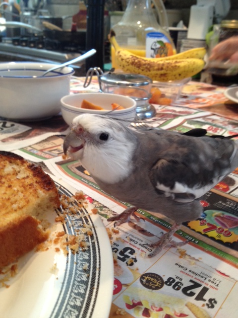 Oh, there's Mom. She sure looks proud!