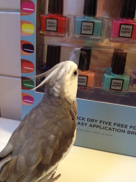 Well, hi! You're quite fetching! When did you get into town?