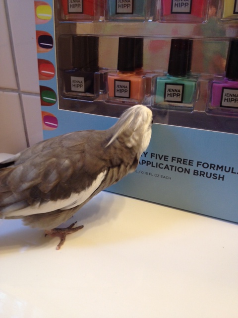 You know, you look a lot like me. Are you sure we're not related?