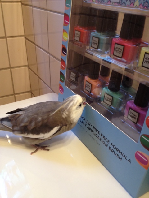 Mi Casa Su Casa - we can seal it with the "beak grip of friendship."