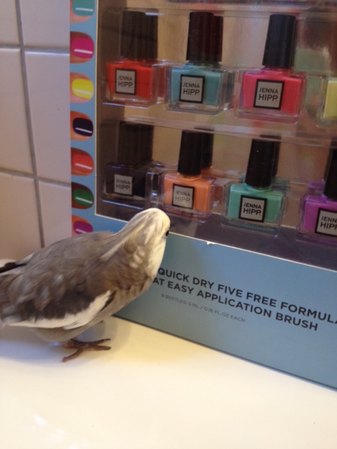 Sure, we can admire each other some more after we eat!