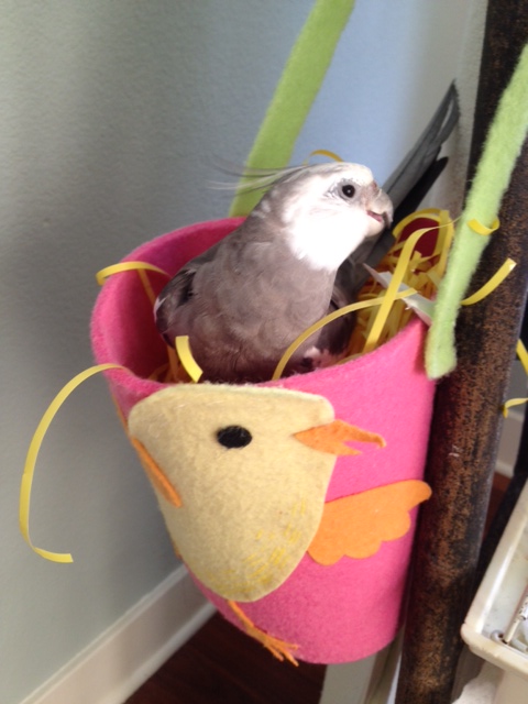 He immediately begins to demonstrate mastery of his craft.