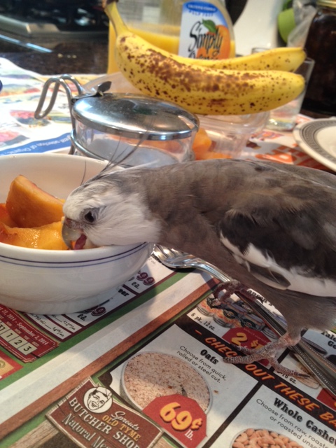 I'll just take a tiny nibble.