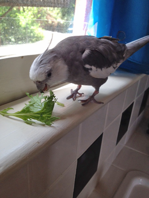 Feeling more like talking now?