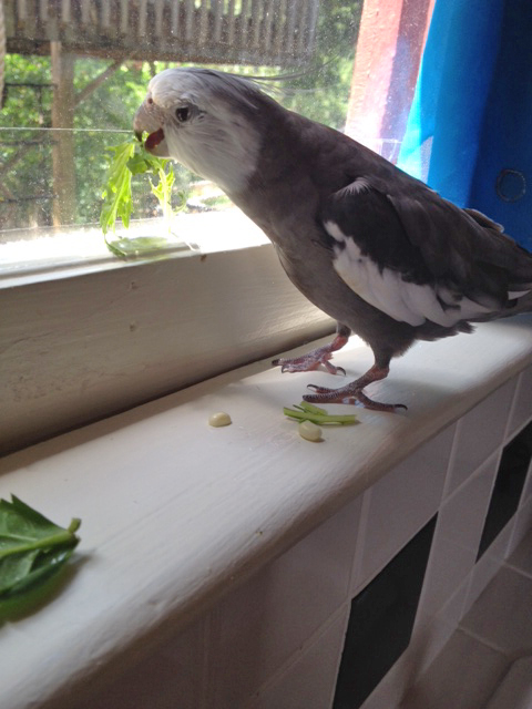 They get SNATCHED, that's what.