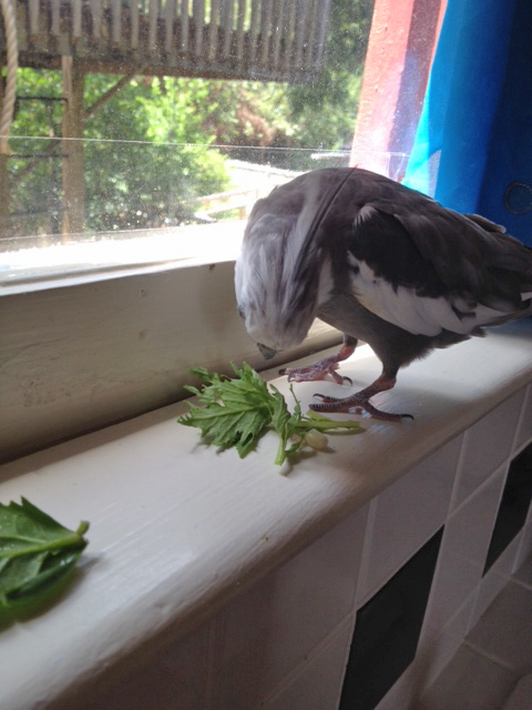 I spy an alien green thing. I will just question it.  "Hey! Green thing! Wake up! State your business!"