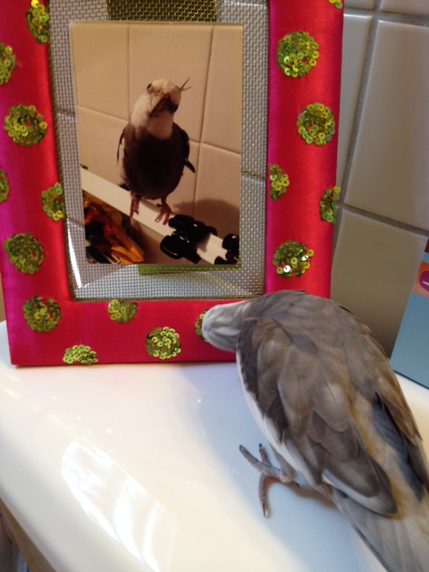 These shiny crunchy accents are a nice touch.