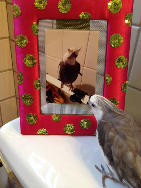 Although why Mom chose a pink frame escapes me at the moment.