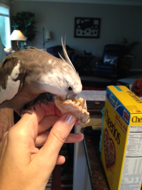 First I will perform my patented "full beak immersion" test.