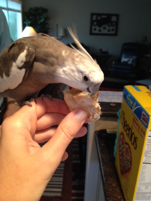 Just one final nibble for "consistency testing."