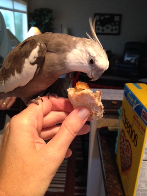 And my binding verdict is: "Crust!"