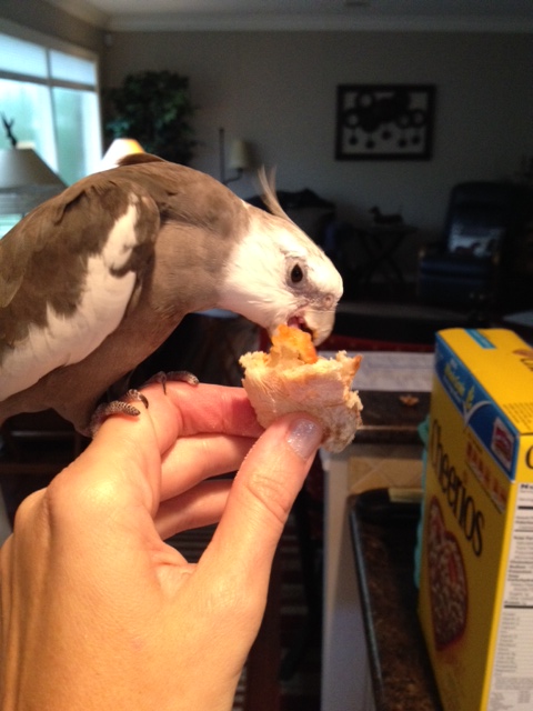 No mediation session is complete without the most demanding test of all - the "stress quality test."