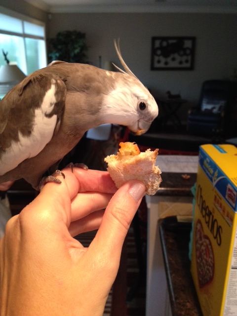 Sure - we can do one official media shot before I get started. 