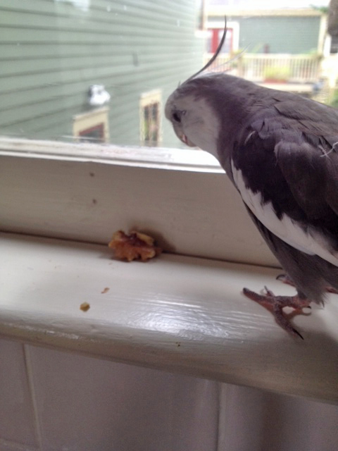 Well my goodness. I do believe what we have here is....a U.F.O.