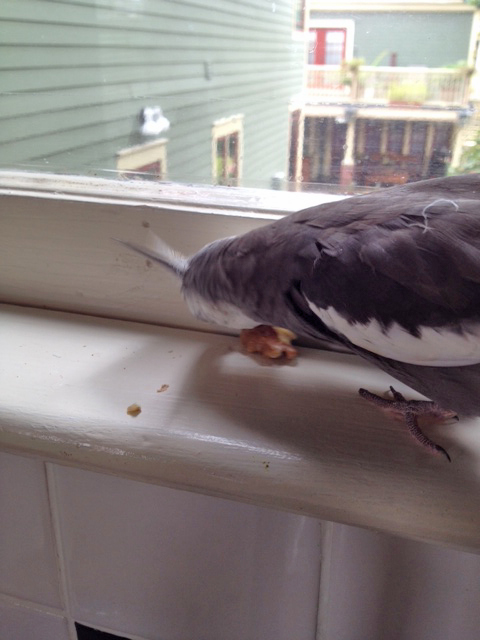 I can already feel my keen senses springing into action.