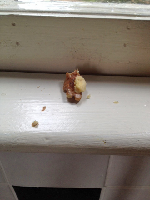 I have to say, though - it is remarkably sedentary for a U.F.O.