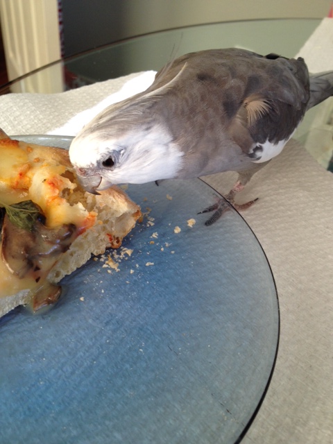 This seems the perfect dish for a maneuver only a few elite beings (with feathers) can pull off.