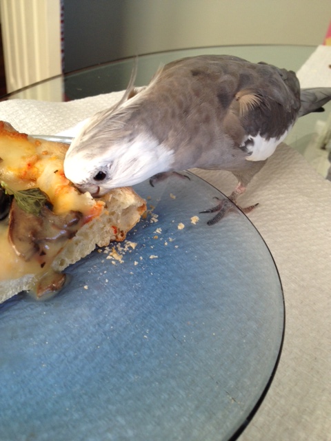 Let me just do a quick cross-check and depth test.