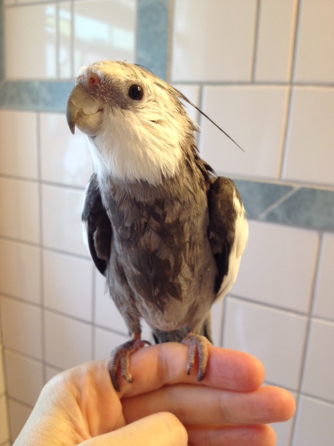 Oh well, okay, but just a few photos today.