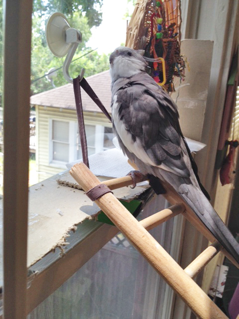 The (very) photogenic artist is persuaded to pose for a pretty portrait with his art.