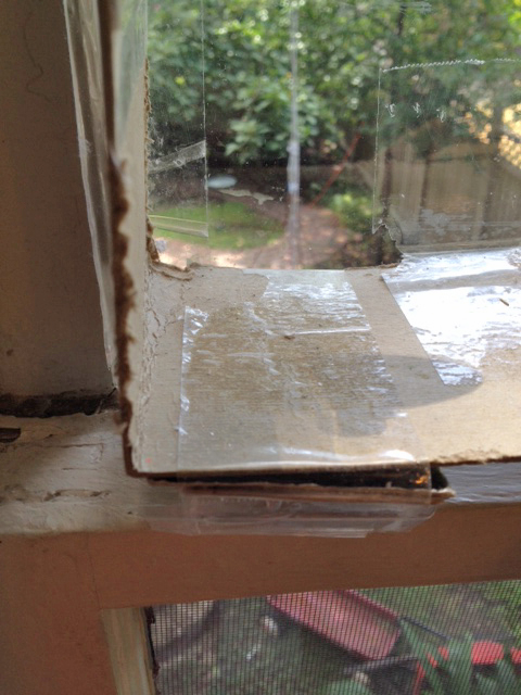 Upon viewing the one-of-a-kind scalloped design for the first time, some copycats were observed to burst into tears.