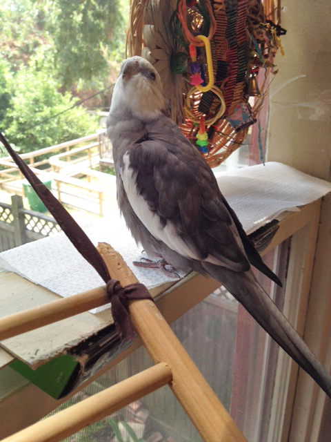 Here, the talented artist distracts fans with powerful doses of "prettiness" - making them forget all about art.