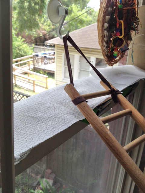 Here, the artist's work-in-progress is carefully kept under wraps (guarded ceaselessly by a large featherless security guard).