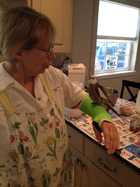 Don't worry, Grandma - now that I'm here it will heal up very quickly.