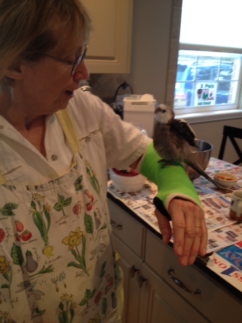 Just let me know when you feel better and we can make waffles!