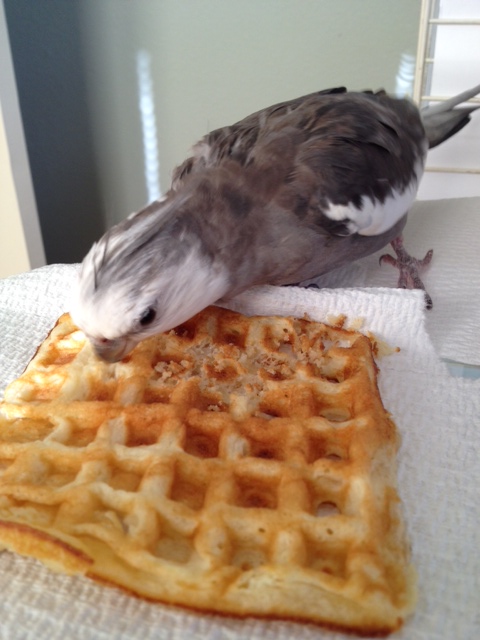 I am so enjoying this "watching" activity.