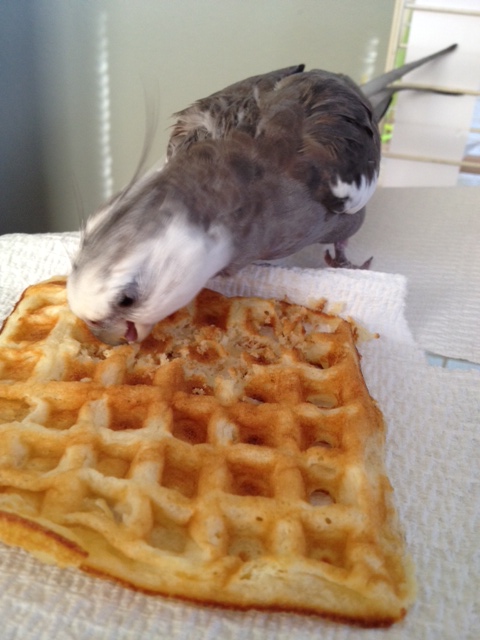 Now I feel like doing some "active" watching.