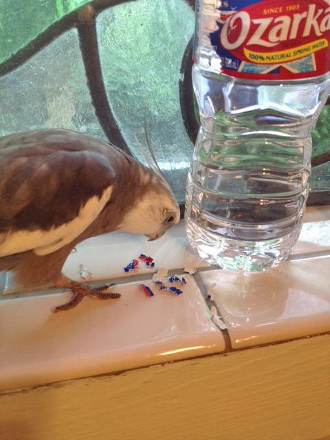 Do you hear me? I am the Victor. V.I.C.T.O.R.  