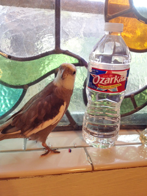 Mom, check this out!