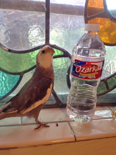 Oh, so you think you're a tough guy, eh?