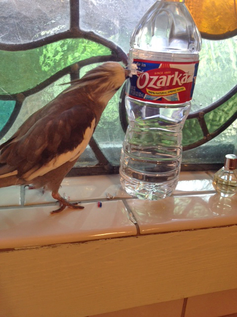 And now a bit to the left....