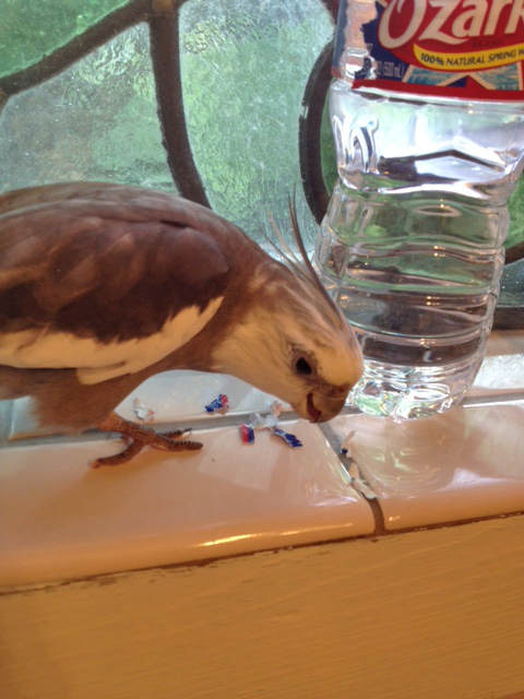 To the victor goes the spoils.