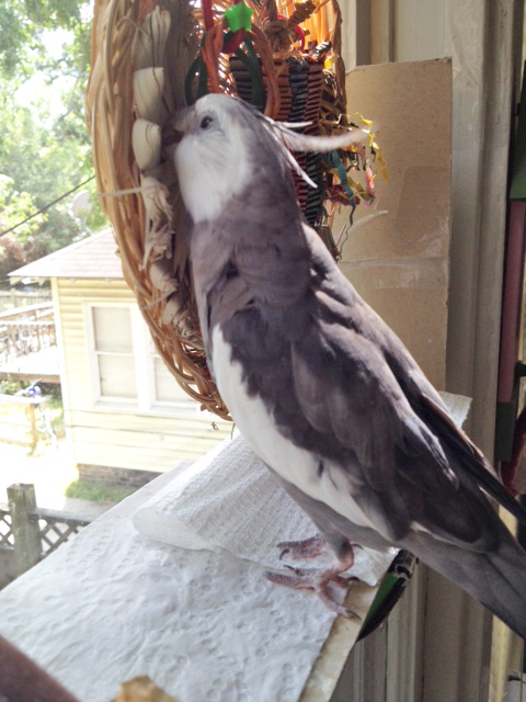 He spies a nuance in need of tweaking and springs into action.