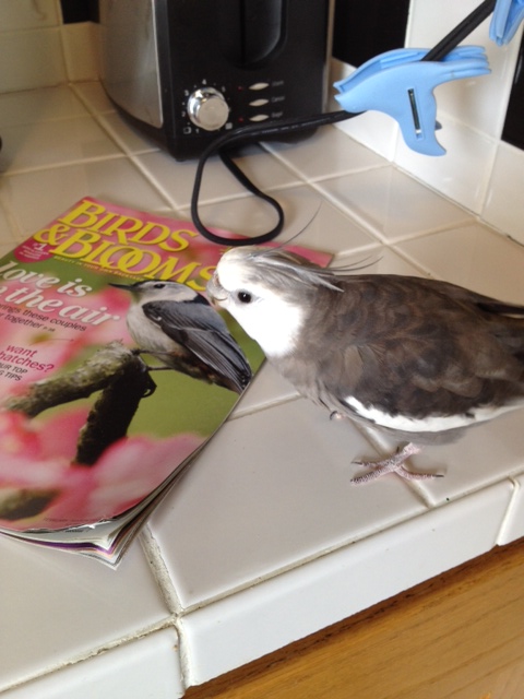 So this is the magazine you want me to evaluate, Mom? 