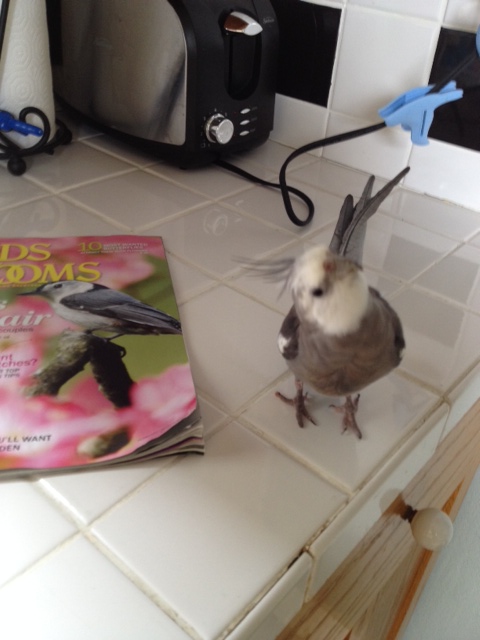 Let me ponder these findings for a moment.