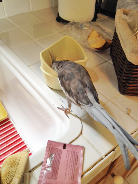 Luckily I can navigate to the third course on my own.