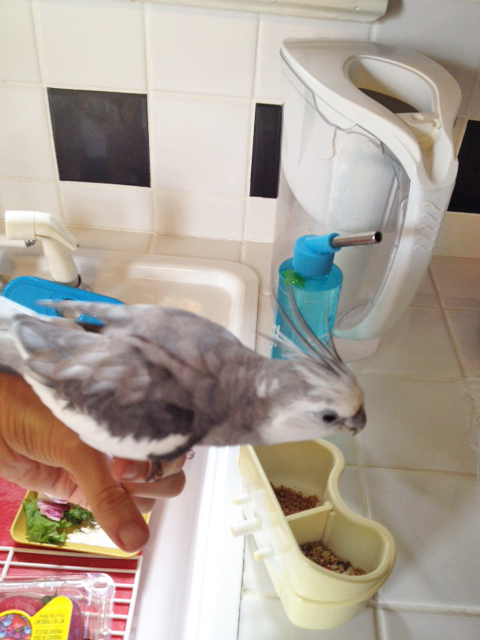 Keep going - yes, keep going....